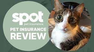 Pet Insurance review