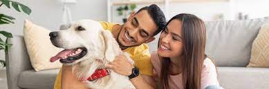 Navigating Pet Insurance in Alabama: A Comprehensive Guide