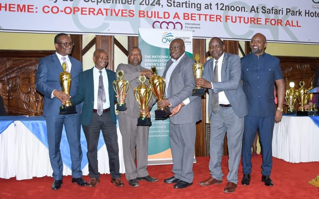 img 20240927 wa0009(1)