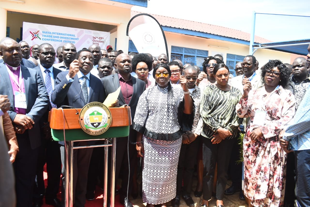 whatsapp image 2025 10 15 at 15.23.03